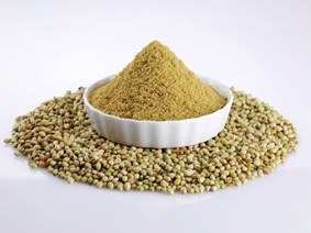 Coriander powder